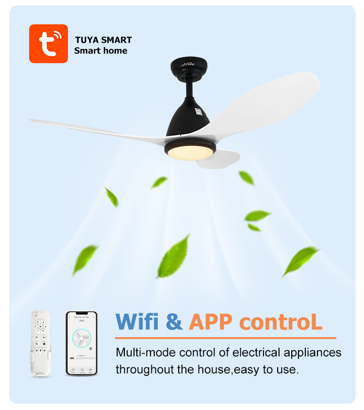 ceiling fan