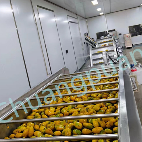 410V 380V 20KW Mango Pulp Production Line , Mango Pulp Extraction Machine