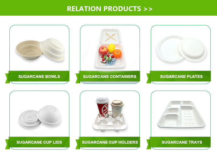 16cm Bagasse Biodegradable Disposable Utensils For Party Factory Wholesale