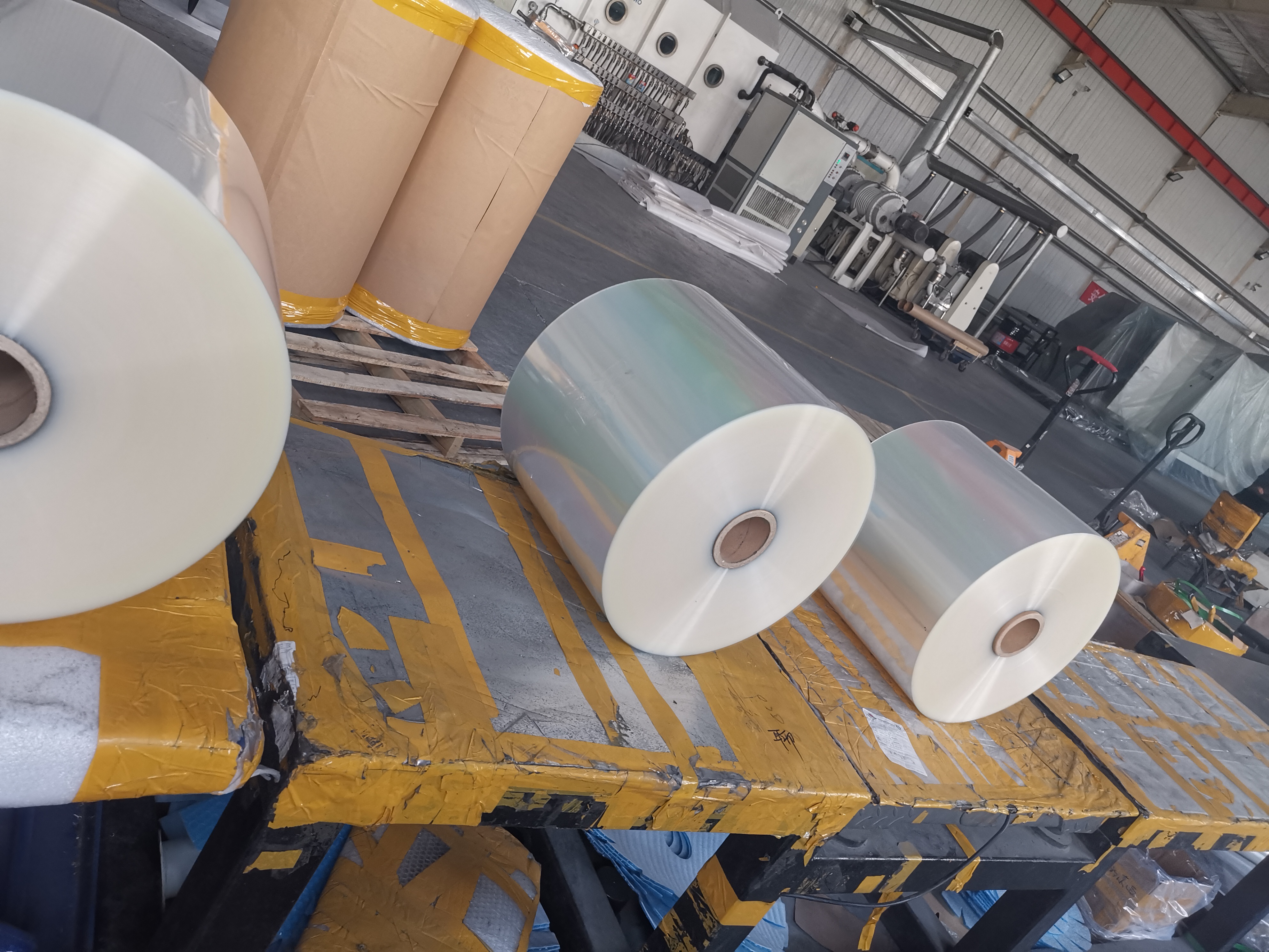 Silver Aluminum Coating PET Bopp Cppp Holographic Cold Laminated Film for Decoration