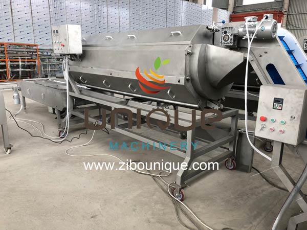 Automatic Potato Peeling Machine with 2.25 kw Power and Stainless Steel 304