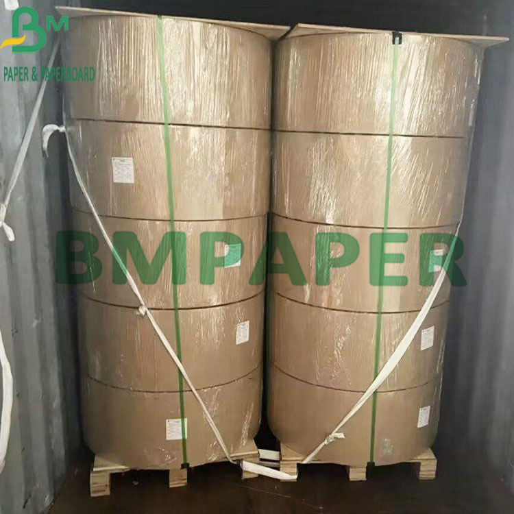 260g + 15g PE Coated Natural White Cup Stock Paper Board For Coffee Cup