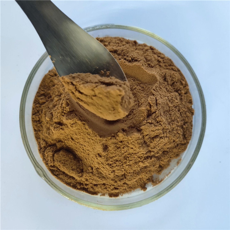 Hot Sale energy supplement barberry extract with best price
