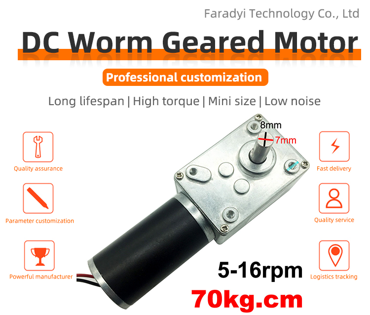 Faradyi Hot Sale Micro Mini 12v 24V Low Speed High Torque Dc Motor With Worm Direct Gear