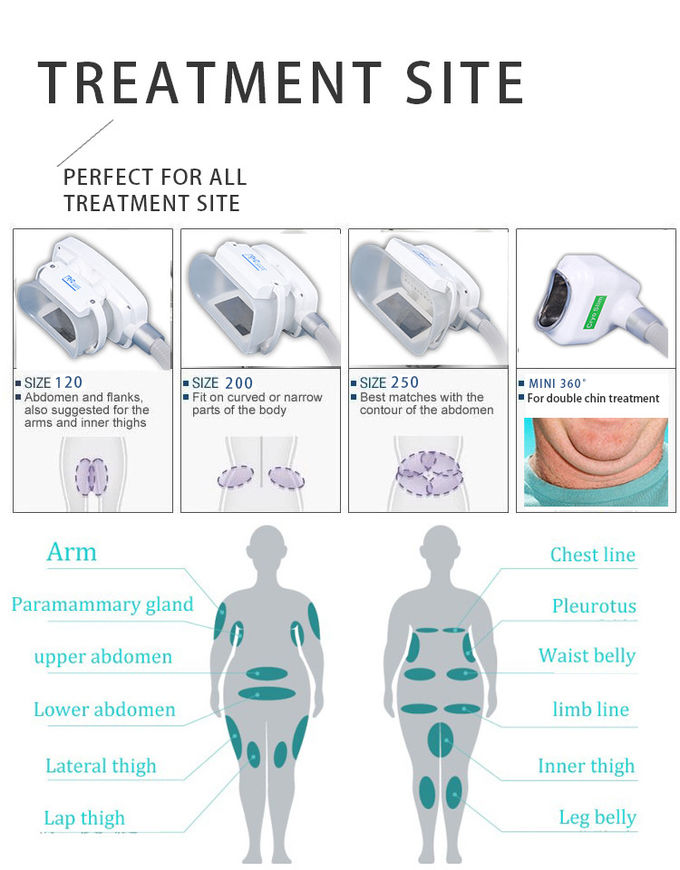 Hot sale !!! 4 Cryo handles cryolipolysis 5mhz rf cavitation cryolipolysis body slimming machine LF-207C