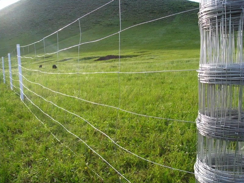 Inexpensive Farm Fences Fences of Various Heights Goat Farming Grassland Cheap Field Fences