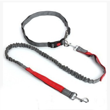 dog leash that goes around waist