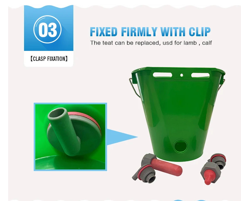 Calf Feeding Bucket Teat Bucket With Teat /Milk Bar calf feeder