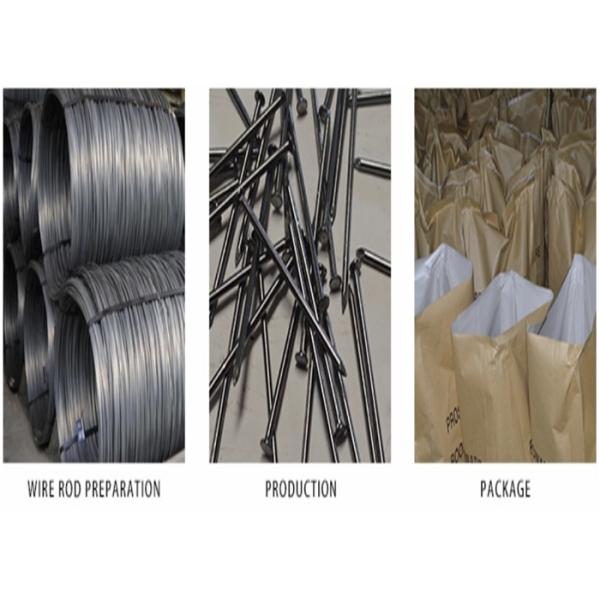 Polished Surface Common Iron Nails Flat Head Type Strong Tensile For Construction