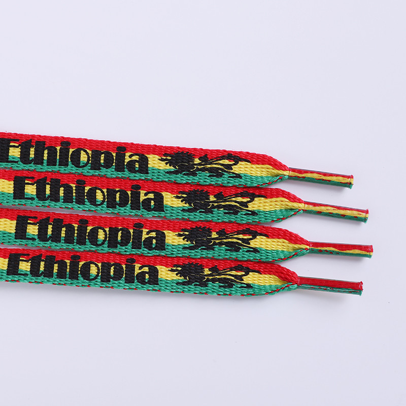 Printed Polyester Shoelace Custom Design Color Flat Cord With Plastic Tips