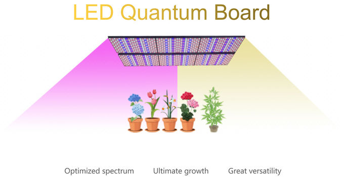 LED Quantum Warm White Growlights 480pcs Chips Lm301b Led Grow Light For Indoor Plant 0