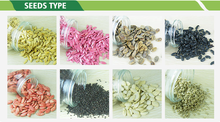 Shengfeng No.3 Bulk Hybrid Purple Eggplant Seeds Hybrid Vegetable Seeds E17