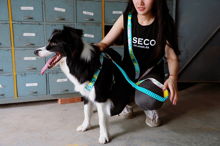 Handsfree Anti Pull Dog Leash For Running Heavy Chain Dog Leash 6ft With Foam Handle