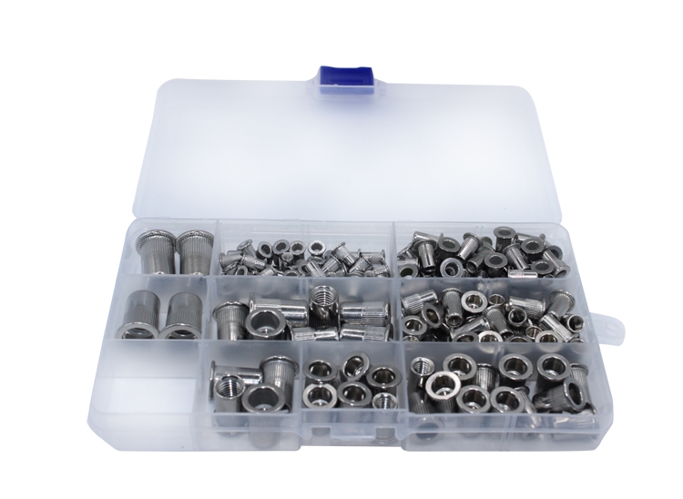 ISO Standard Galvanized Stainless Steel Blind Rivet Insert Screws with Bright Finish