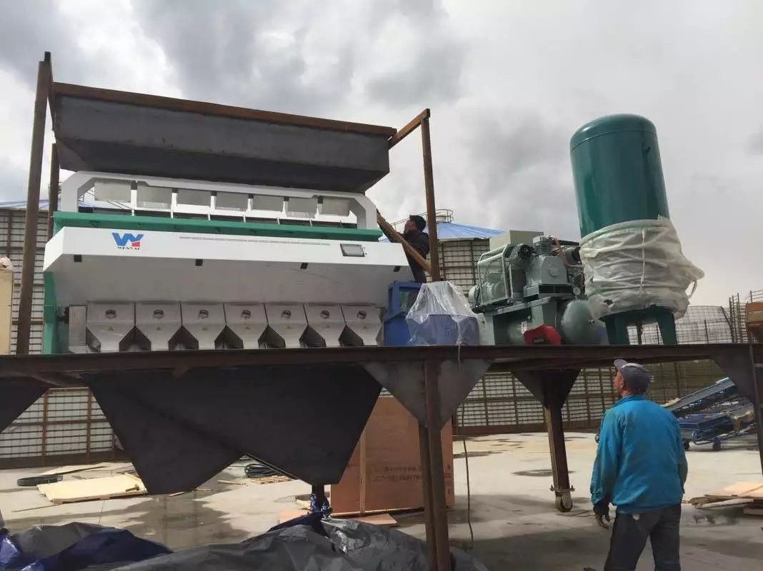 High Efficiency and High Capacity CCD Optical Mung Beans Color Sorting Machine
