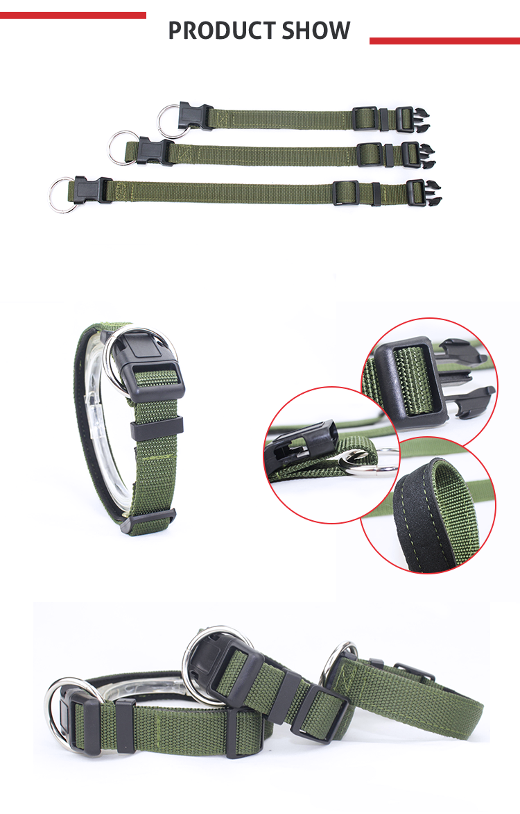 Adjustable Stylish Nylon Dog Collars All Seasons Customized Brand Logo