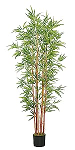 6ft Bamboo