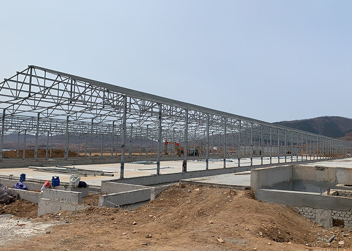 Environmental Controlled Layer broiler chicken shed construction 275g Zinc Coatings