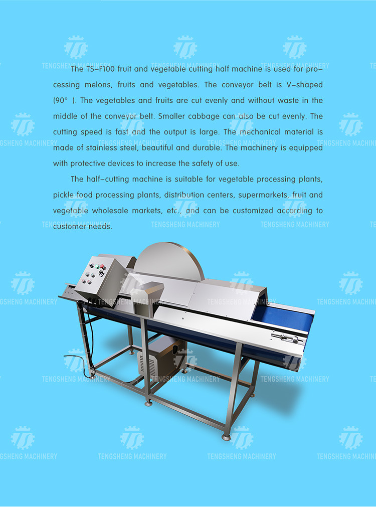 Stainless Steel Vegetable Processing Machine 1.1KW Fruit Cutting Halt Machine