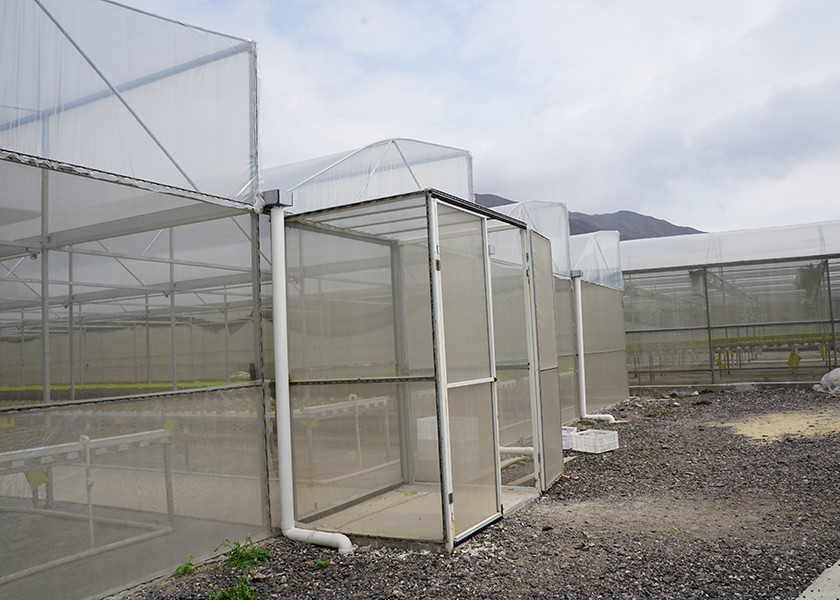 Rain Resistant Hydroponic Greenhouse Systems With Galvanized Support