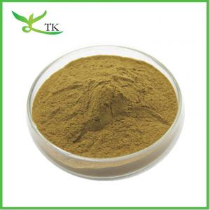 China Wholesale Bulk Nuciferine Lotus Leaf Extract Powder Lotus Leaf Powder Weight Loss Raw Material on sale