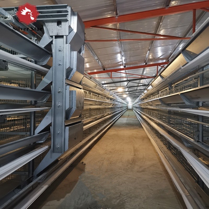 Poultry Breeding Layer Chicken Cages Equipment Galvanized Steel Wire Automatic System