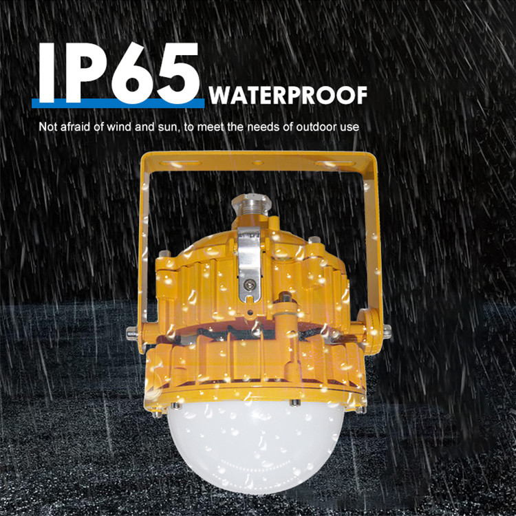 LED Explosion Proof Lighting Led ATEX Floodlight 50W To 250W
