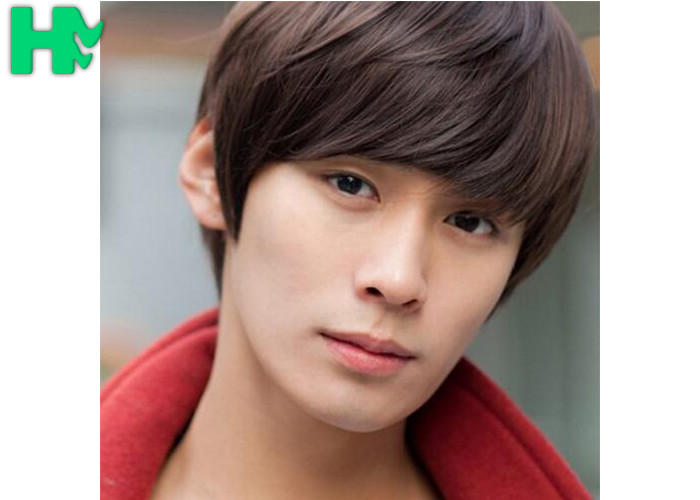Trendy Brown Men Hair Wig High Temperature Fiber Wigs Synthetic Hair
