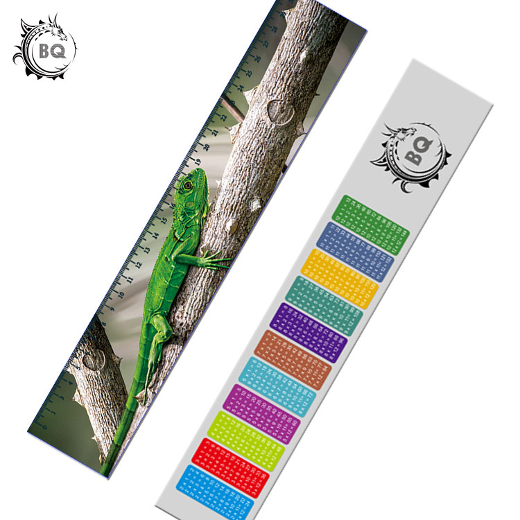 5.4X31cm Lenticular Printing Services / 3D lenticular Plastic Ruler Egypt Design