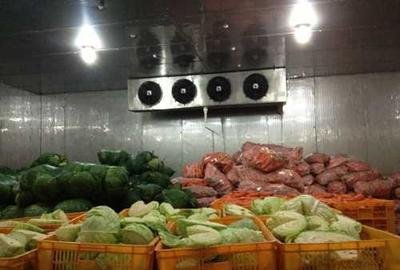 Vegetables Cold Room Freezer Walk In Cold Storage Units For Keep Fresh Fruits Fish Transportation