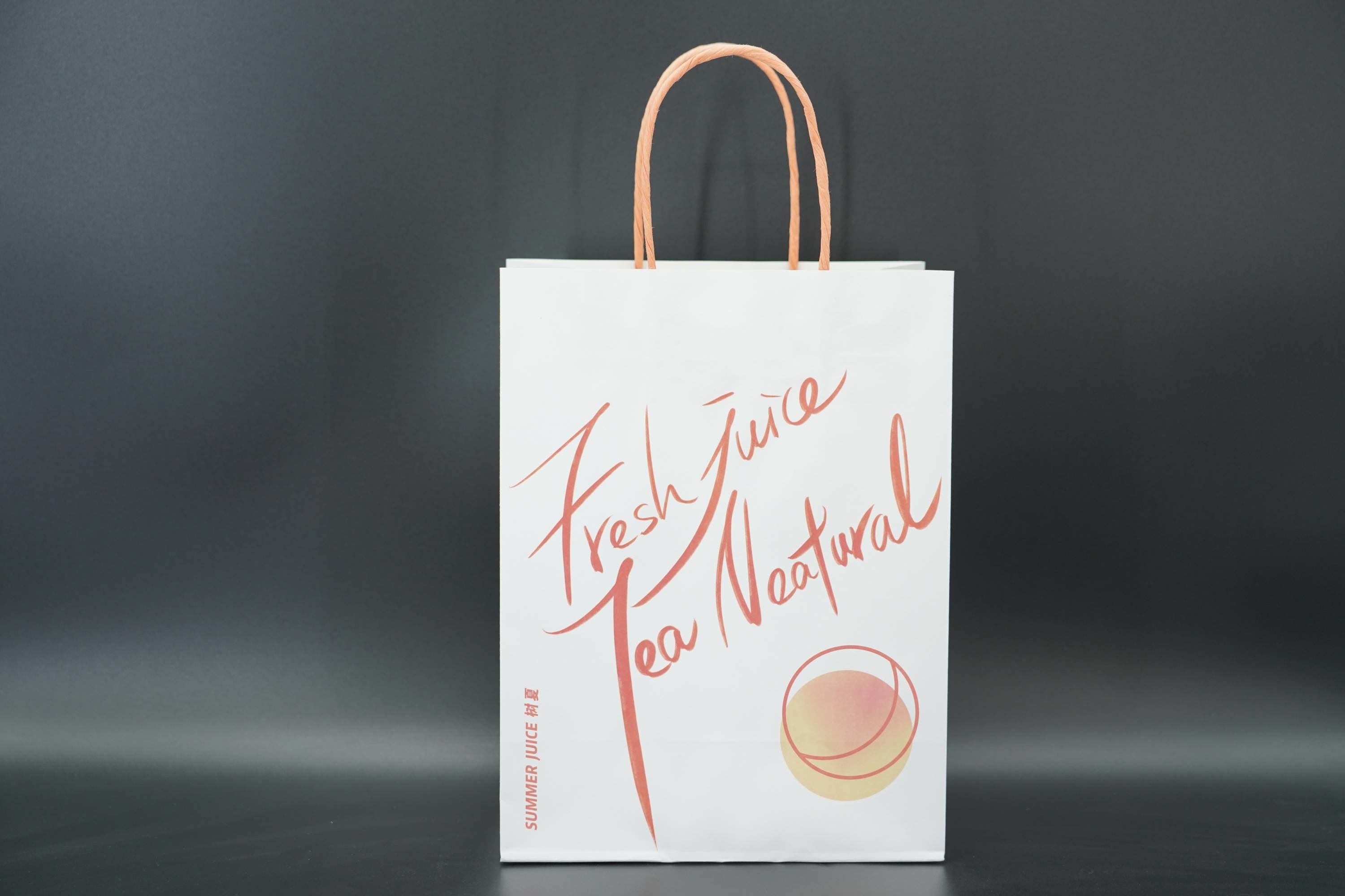 Industry Custom Printed Gift Bags sturdy Eco Friendly Kraft Food Bags
