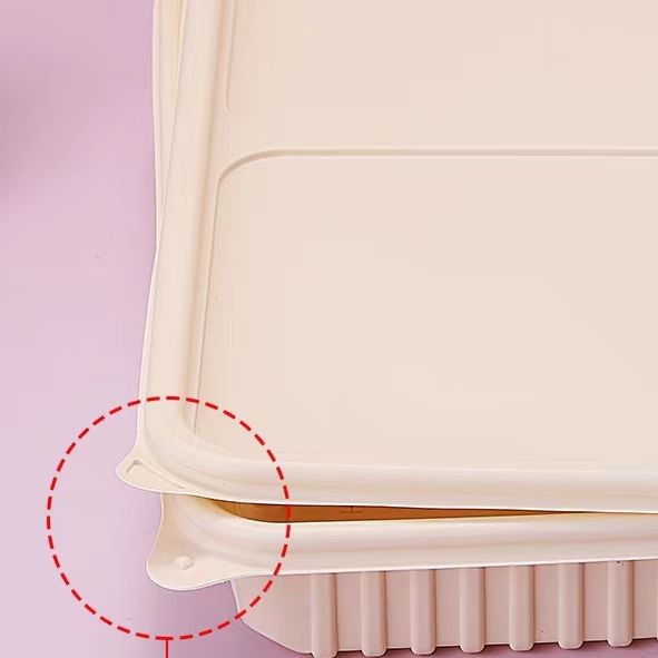 Biodegradable Eco Friendly Takeaway Boxes Waterproof And Oil Resistant