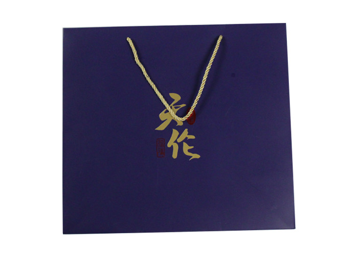 Hot Stamping Paper Bags With Handles 13 inch FSC for Shopping