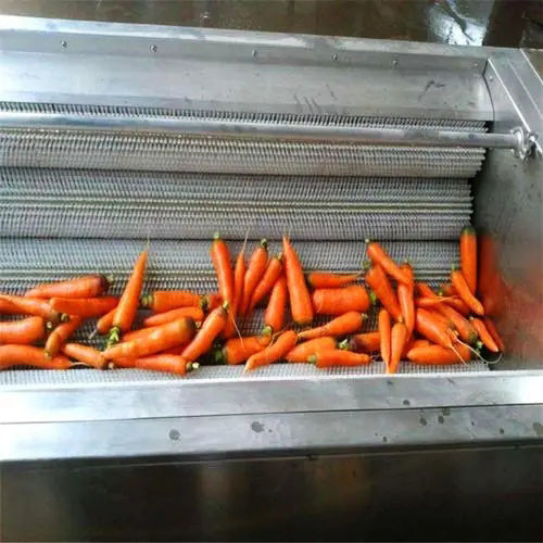 Roller Brush Fruit And Vegetable Washing Machine For Onion Walnut Ginger Peeling