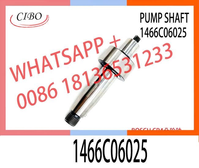 High Quality Diesel CP4 Fuel pump camshaft 1466C06025 for pump part number 0445010506