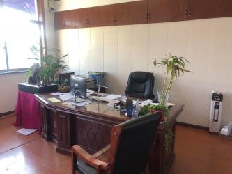 Yuyao Xuanmao Electrical Appliance Co., Ltd.