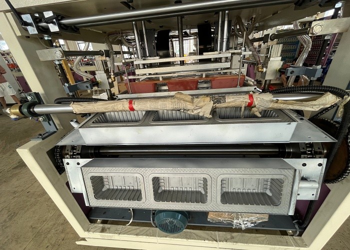 Food Industry Blister Vacuum Forming Machine Automatic