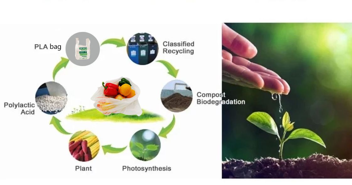 ok compost home certified custom wholesale PLA based biodegradable compostable vegetable fruit plastic produce bag on