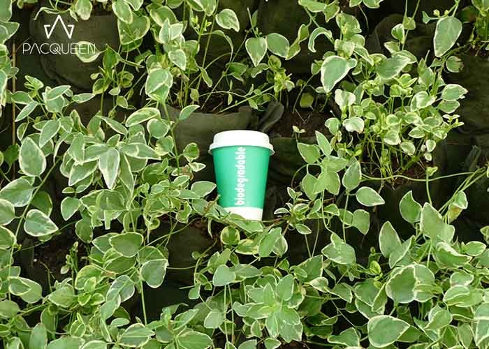 Compostable Biodegradable Paper Cups Hot Liquid Isolation Heat Proof