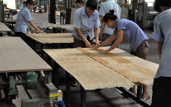 Wardrobes Fancy Walnut Veneer Plywood Customized Walnut Panel Board
