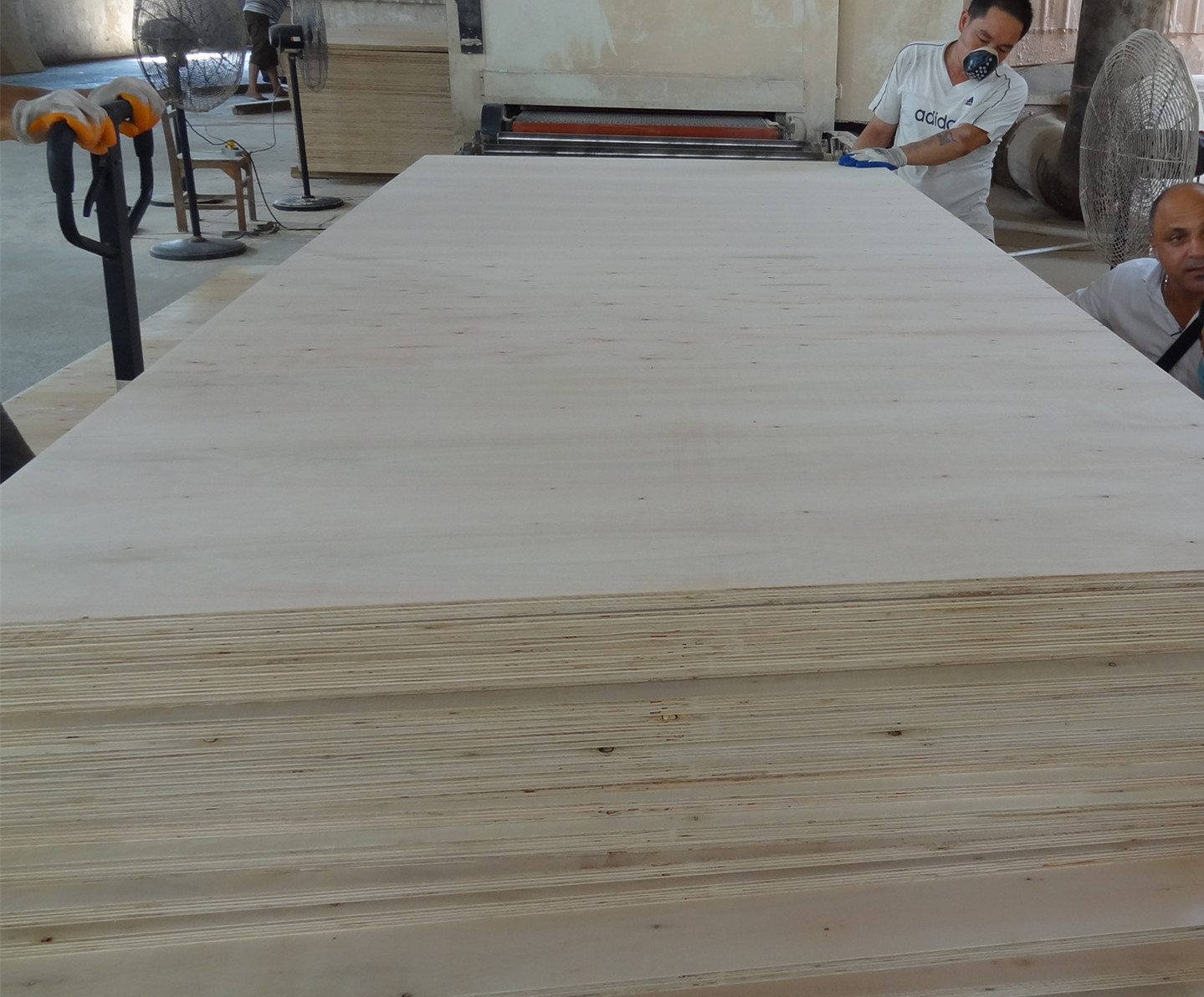 Construction WBP 1220*2440mm Film Faced Shuttering Plywood
