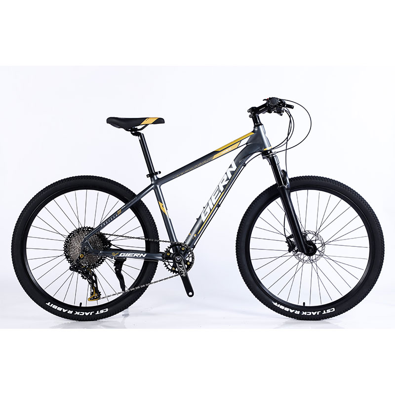 Manufacture 12 Speed Gears Mountain Bike with Double Wall Rim and Classic Design