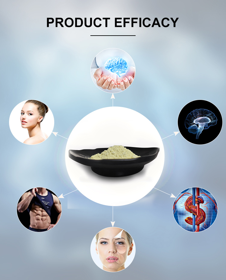 High Purity 99% Urolithin A Supplement CAS 1143-70-0 For Food Manufactured