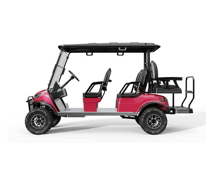 Street Legal Golf Cart NL-JA4 2.G Electric Buggy for Sightseeing Club 10% Climbing Ability 30Km/h Max. Speed