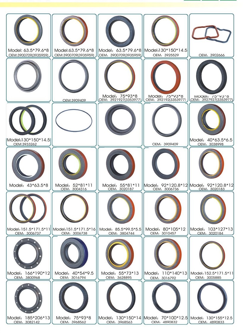 80*105*13mm OEM YCZ09-08215 NBR Auto Transmission Seals 0.03mpa With Two Lips