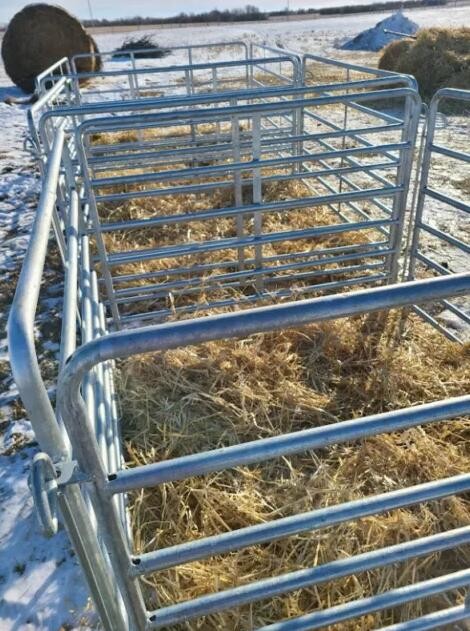Portable Cattle 1.6m×2.1m Heavy Duty Livestock Panels Easily Assembled