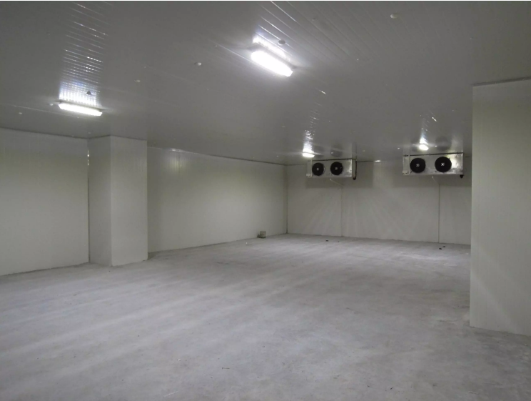 Vegetables Cold Room Freezer Walk In Cold Storage Units For Keep Fresh Fruits Fish Transportation