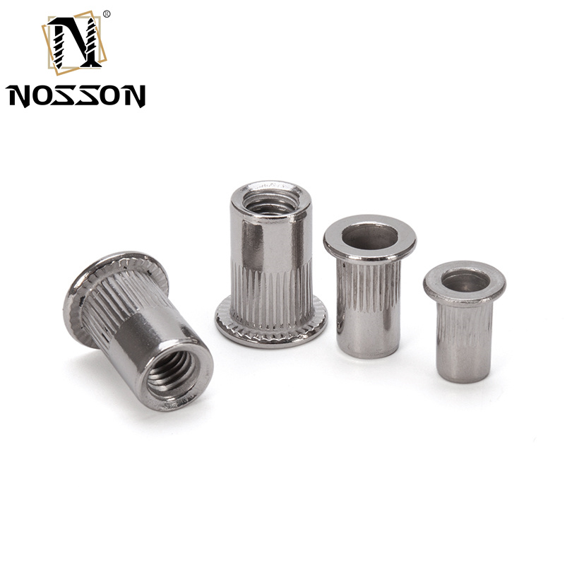 Metric 304 Stainless Steel Flat Head Carborsteel Galvanizing M5 M6 M8 Rivet Nut for Water Treatment Application from Fastener