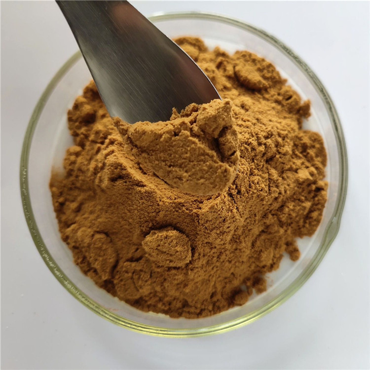 China Herbal Dipsacus Extract For Rheumatism Capsule