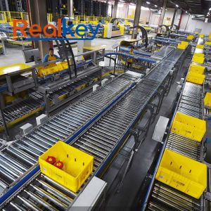 Buy cheap High Reliability Automatic Roller Conveyor System Customizable Length product